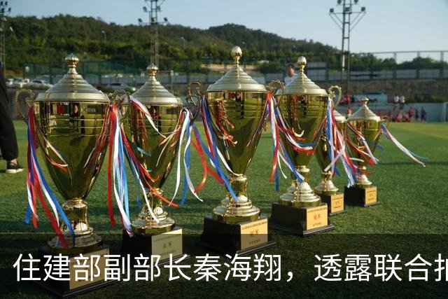 住建部副部长秦海翔，透露联合拍摄大型纪录片有关计划