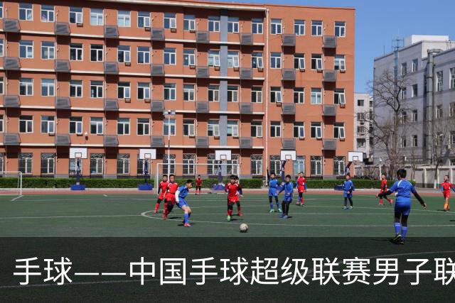 手球——中国手球超级联赛男子联赛：江苏队胜U20联队