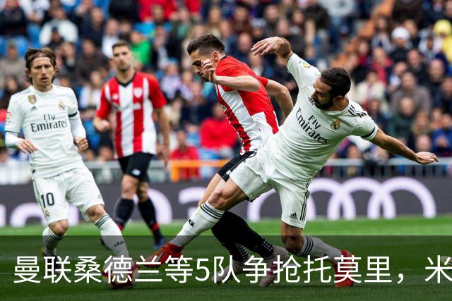 曼联桑德兰等5队争抢托莫里，米兰愿套现