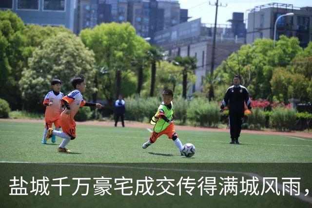 盐城千万豪宅成交传得满城风雨，中介的职业素养呢？