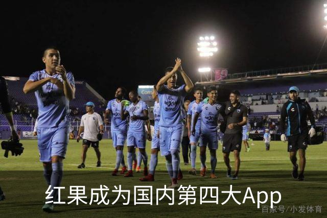 红果成为国内第四大App