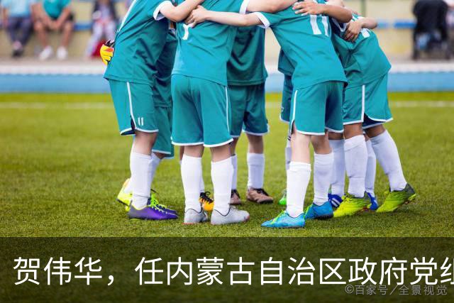 贺伟华，任内蒙古自治区政府党组成员！徐相锋，任河南省委统战部部长！